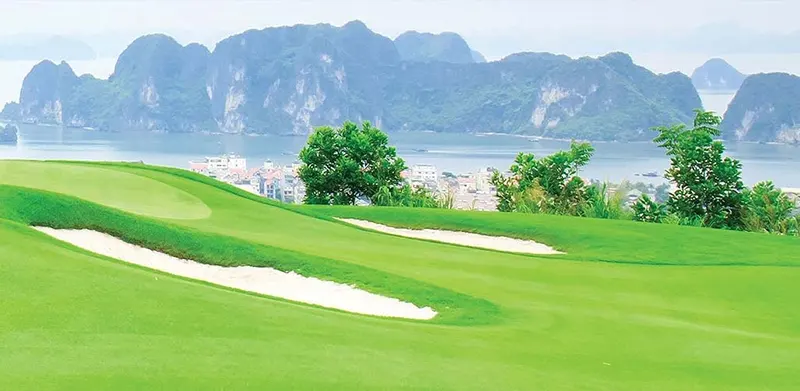 Top 5 Lý Do Bạn Nên Chọn Sân Golf FLC Hạ Long